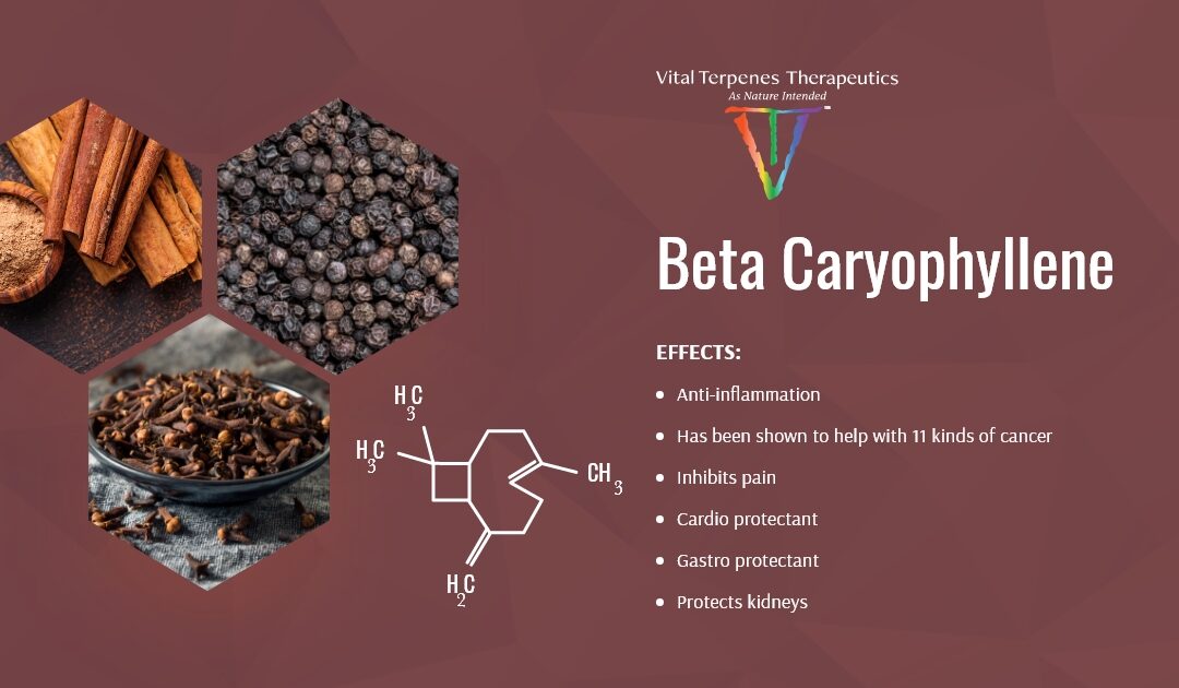 Beta Caryophyllene