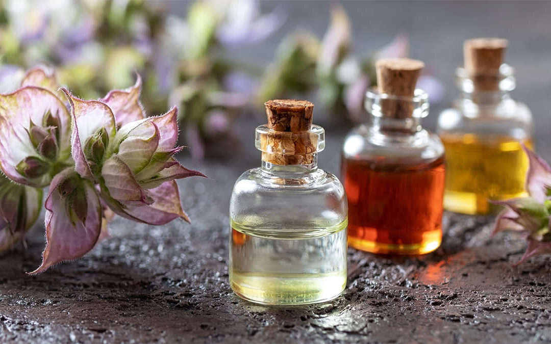 Pushing the Boundaries of Terpene Therapy