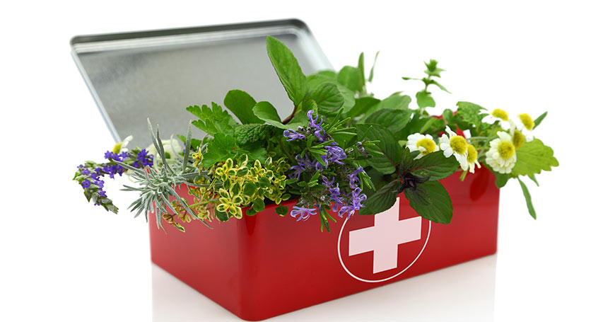 Terpenes Top 5 Benefits