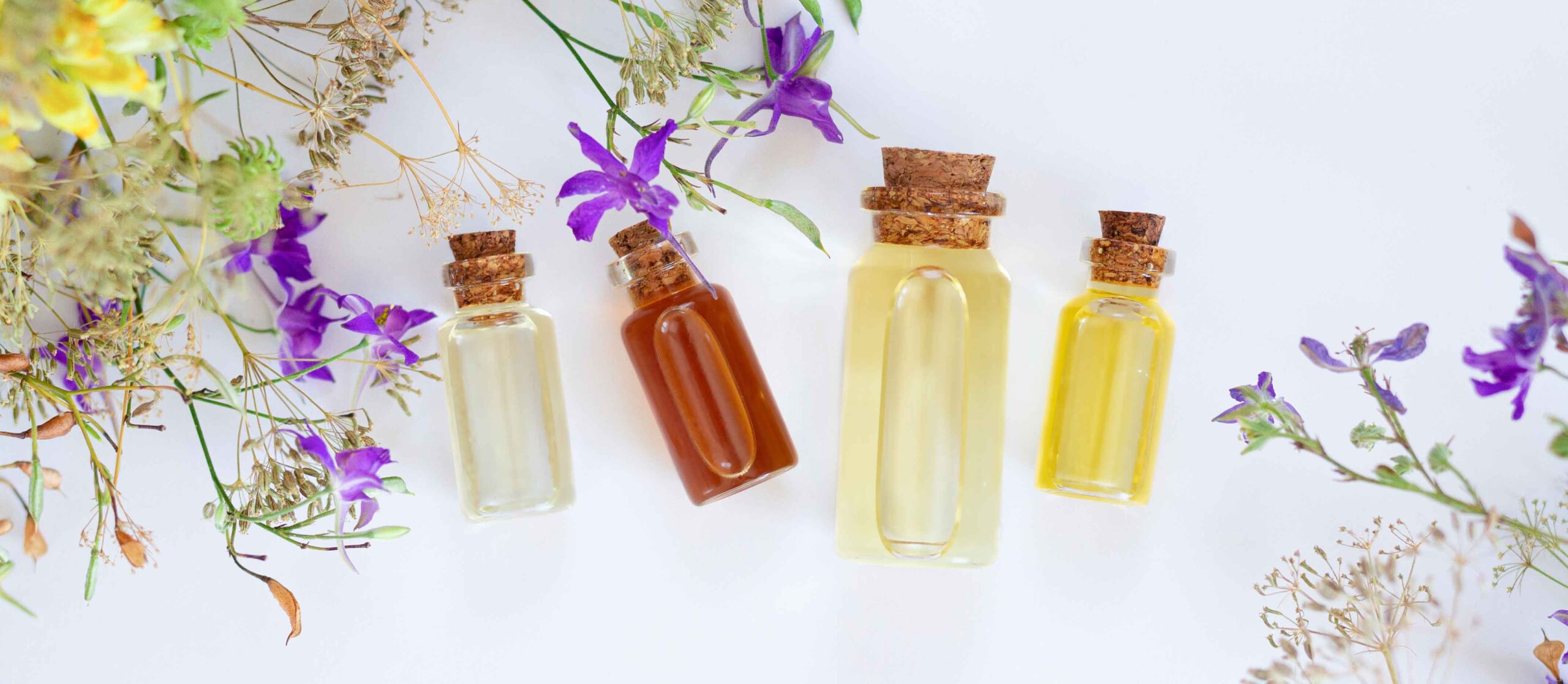 Popular-cannabis-and-hemp-terpenes