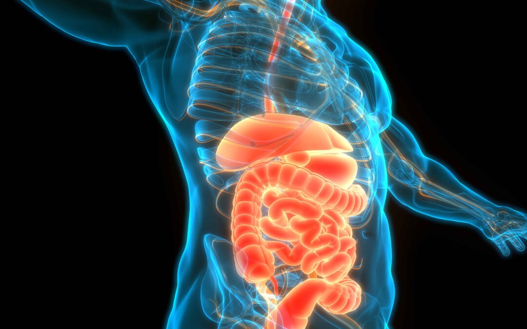 SIBO-Small Intestinal Bacterial Overgrowth